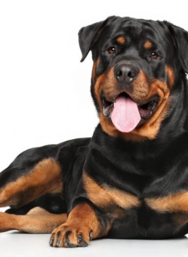 fotolia_80512914-768x516